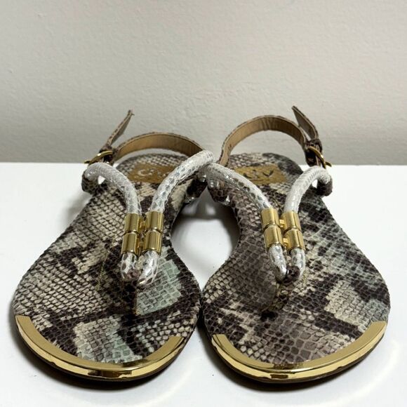 The Dolce Vita Women's Archer Thong Sandal in size 7.5 snakeprint - Picture 1 of 7